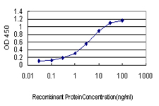10 - LZTFL1 Antibody (monoclonal) (M01) AT2756a