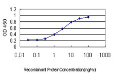 10 - MCM7 Antibody (monoclonal) (M01) AT2821a