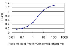 10 - MED8 Antibody (monoclonal) (M01) AT2833a