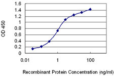 10 - MESP1 Antibody (monoclonal) (M06) AT2847a