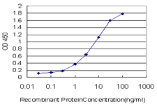 10 - MSH5 Antibody (monoclonal) (M08) AT2911a