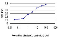 10 - N4BP2 Antibody (monoclonal) (M01) AT2968a