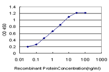 10 - NBR1 Antibody (monoclonal) (M05) AT2978a