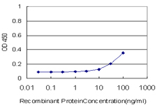 10 - NCOA5 Antibody (monoclonal) (M04) AT2984a