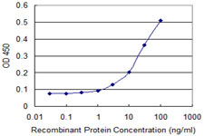 10 - NDRG4 Antibody (monoclonal) (M01) AT2994a