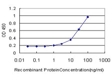 10 - NDST3 Antibody (monoclonal) (M01) AT2997a