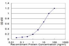 10 - NEUROD6 Antibody (monoclonal) (M06) AT3024a