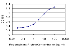 10 - NFE2L2 Antibody (monoclonal) (M03) AT3031a