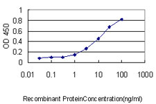 10 - NOTCH2NL Antibody (monoclonal) (M01) AT3079a