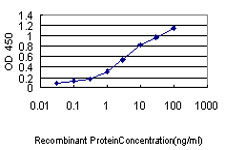 10 - NUCB1 Antibody (monoclonal) (M01) AT3124a