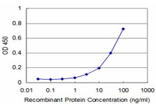 10 - NUDT4 Antibody (monoclonal) (M08) AT3132a