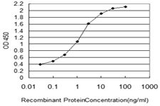 10 - NUP133 Antibody (monoclonal) (M01) AT3135a