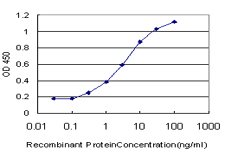 10 - NXT1 Antibody (monoclonal) (M08) AT3141a