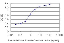 10 - PALM Antibody (monoclonal) (M09) AT3176a