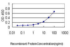 10 - PARVG Antibody (monoclonal) (M01) AT3185a