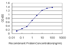 10 - PASK Antibody (monoclonal) (M01) AT3188a