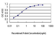 10 - PBX3 Antibody (monoclonal) (M01) AT3202a