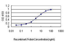 10 - PCDH8 Antibody (monoclonal) (M01) AT3216a