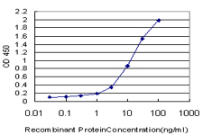 10 - PCDHGA2 Antibody (monoclonal) (M01) AT3227a