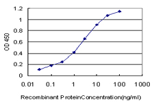 10 - PDE10A Antibody (monoclonal) (M02) AT3250a