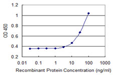 10 - PEX10 Antibody (monoclonal) (M01) AT3271a