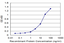 10 - PEX6 Antibody (monoclonal) (M04) AT3272a