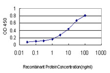 10 - PGRMC2 Antibody (monoclonal) (M04) AT3290a