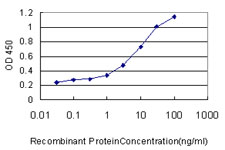 10 - PIGO Antibody (monoclonal) (M01) AT3307a