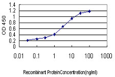10 - PLCL2 Antibody (monoclonal) (M01) AT3336a
