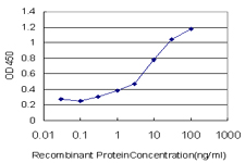10 - PLEC1 Antibody (monoclonal) (M02) AT3338a