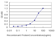 10 - PLGLB2 Antibody (monoclonal) (M04) AT3343a