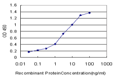 10 - PNMA1 Antibody (monoclonal) (M01) AT3360a