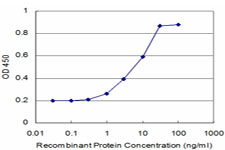 10 - POLD4 Antibody (monoclonal) (M10) AT3368a