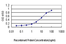 10 - POLK Antibody (monoclonal) (M01) AT3371a