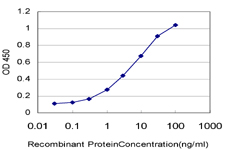 10 - POLR3K Antibody (monoclonal) (M01) AT3379a