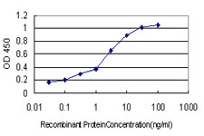 10 - POU6F1 Antibody (monoclonal) (M01) AT3387a