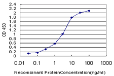 10 - pp9099 Antibody (monoclonal) (M03) AT3390a