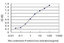 10 - PTF1A Antibody (monoclonal) (M05) AT3481a
