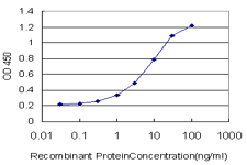 10 - RAB26 Antibody (monoclonal) (M01) AT3516a