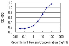 10 - RAB33A Antibody (monoclonal) (M04) AT3520a