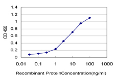 10 - RAB36 Antibody (monoclonal) (M01) AT3522a