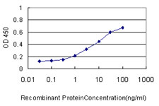 10 - RAB43 Antibody (monoclonal) (M01) AT3528a