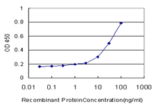 10 - RAP1A Antibody (monoclonal) (M01) AT3562a