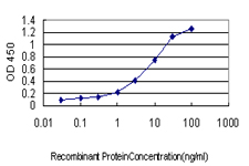 10 - RAPGEF2 Antibody (monoclonal) (M01) AT3566a