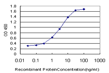 10 - RASGRP4 Antibody (monoclonal) (M02) AT3581a
