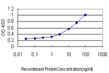 10 - RFC4 Antibody (monoclonal) (M01) AT3621a