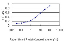 10 - RFP2 Antibody (monoclonal) (M01) AT3624a