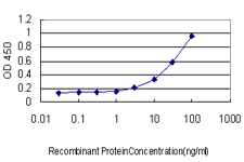 10 - RGL2 Antibody (monoclonal) (M02) AT3627a