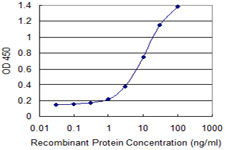 10 - RGS20 Antibody (monoclonal) (M04) AT3629a