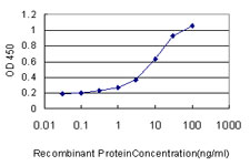 10 - RHEBL1 Antibody (monoclonal) (M01) AT3633a